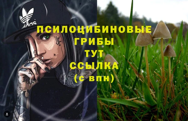 гидра Бугульма