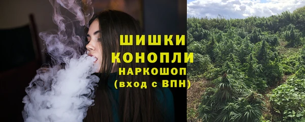 гидра Бугульма
