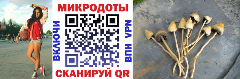 Галлюциногенные грибы ЛСД  Купить где  Жуковка 